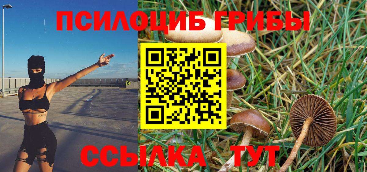 Галлюциногенные грибы Magic Shrooms  Вход с VPN  Псилоцибиновые грибы Psilocybine cubensis  Каспийск 